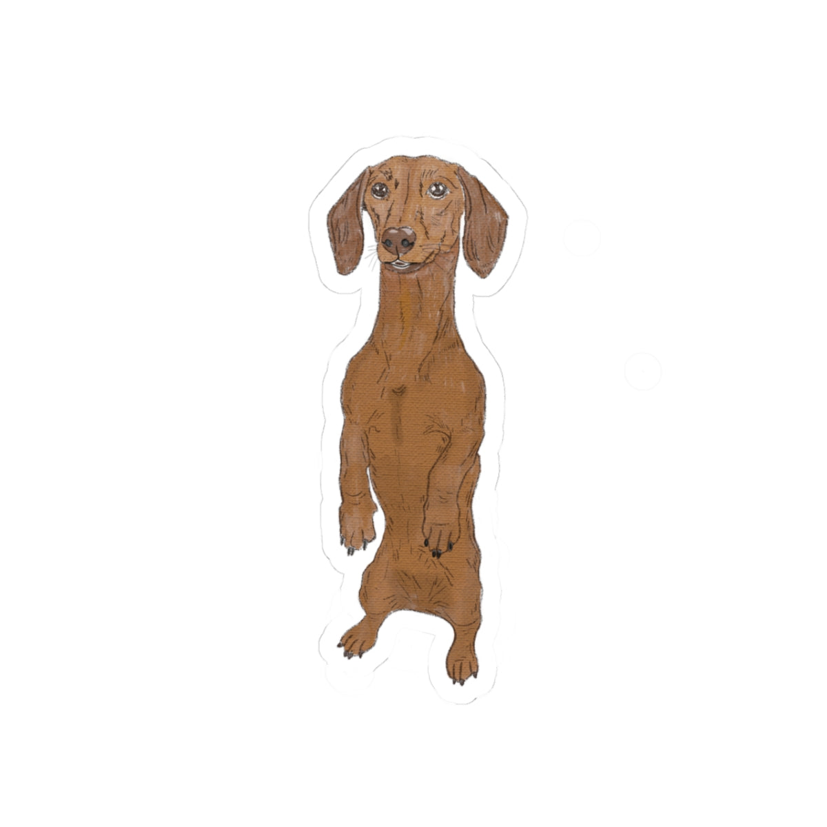 Standing Dachshund Sticker | Cute Weiner Dog Decal | Perfect Gift for Doxie Mom/Dad & Dog Lovers | Weatherproof Vinyl